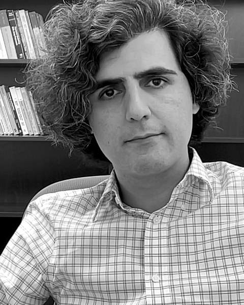 Dr Hamed Amini